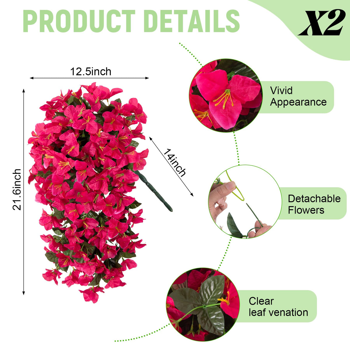 VGNQA bougainvillea hanging plants pair ideal for front doors and porches