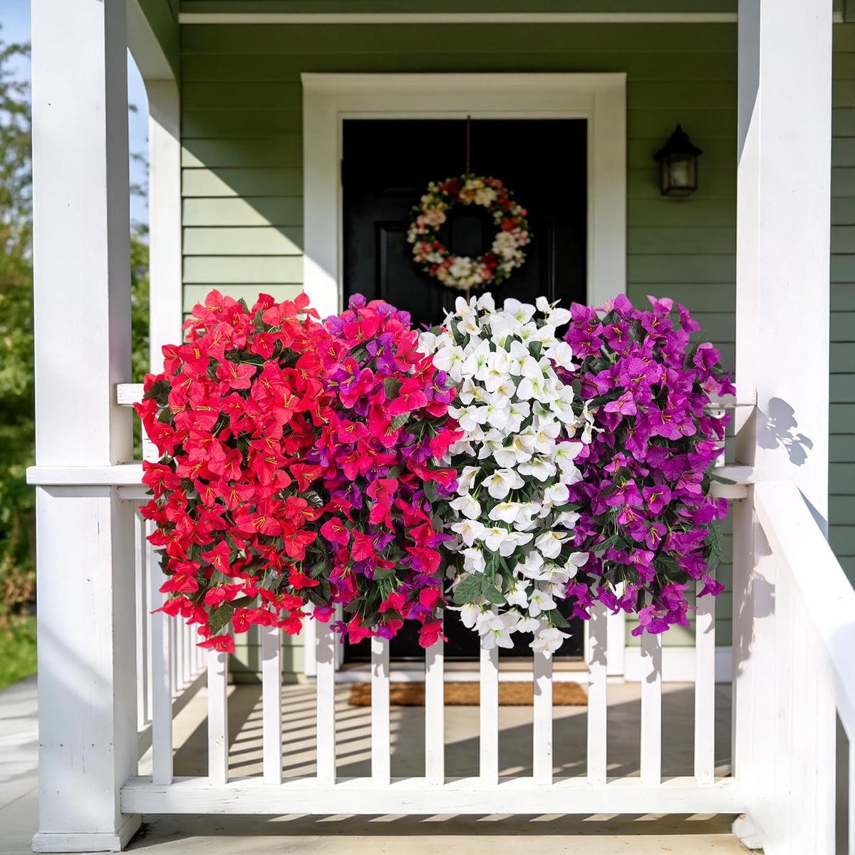 VGNQA front door bougainvillea adds year round color with no upkeep