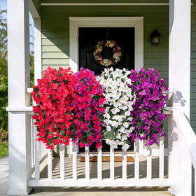 VGNQA front door bougainvillea adds year round color with no upkeep
