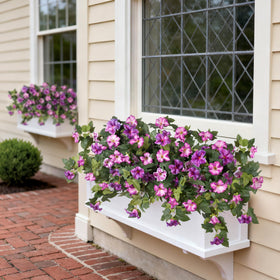 VGNQA outdoor petunia blooms in UV-resistant material resist fading.