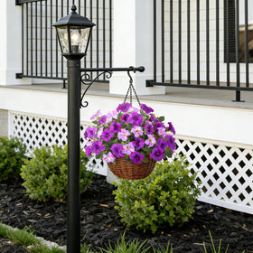 VGNQA petunia stems bendable for centerpieces and decor.