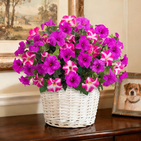 VGNQA petunia centerpiece ideas for vases and tables