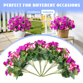VGNQA petunia decor ideas for porch and patio