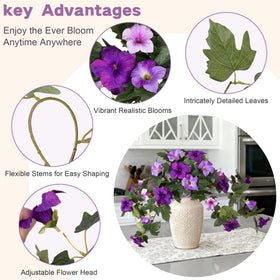 VGNQA petunia flowers on porch display brightening a balcony with color
