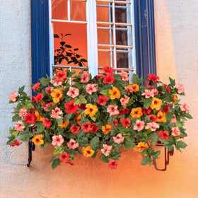 VGNQA orange petunias outdoor porch display with realistic petals and minimal maintenance.