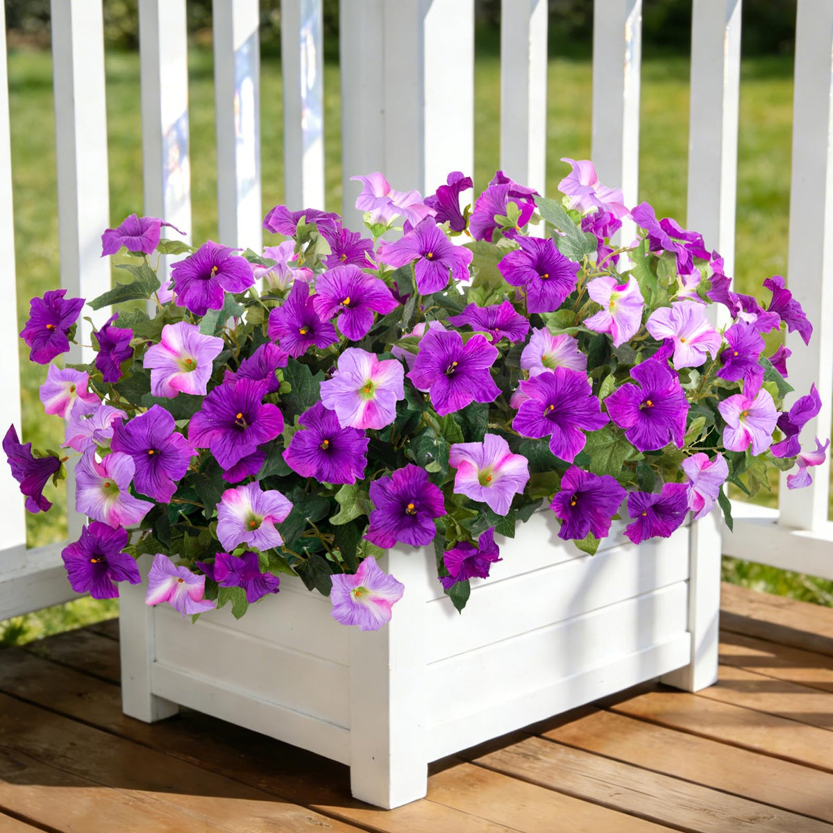 VGNQA petunia stems for window boxes and planters.