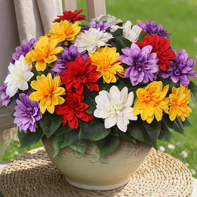 VIERENA 8 bundles outdoor dahlia flowers for year-round color