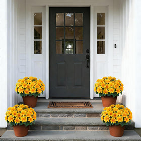VIERENA no fade design maintains color in outdoor light
