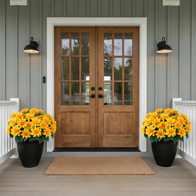 VIERENA eight-pack plant accents for curb appeal and seasonal decor