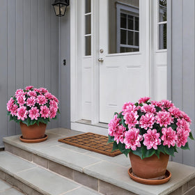 VIERENA pink artificial dahlias close-up reveal lifelike petals for indoor decor.