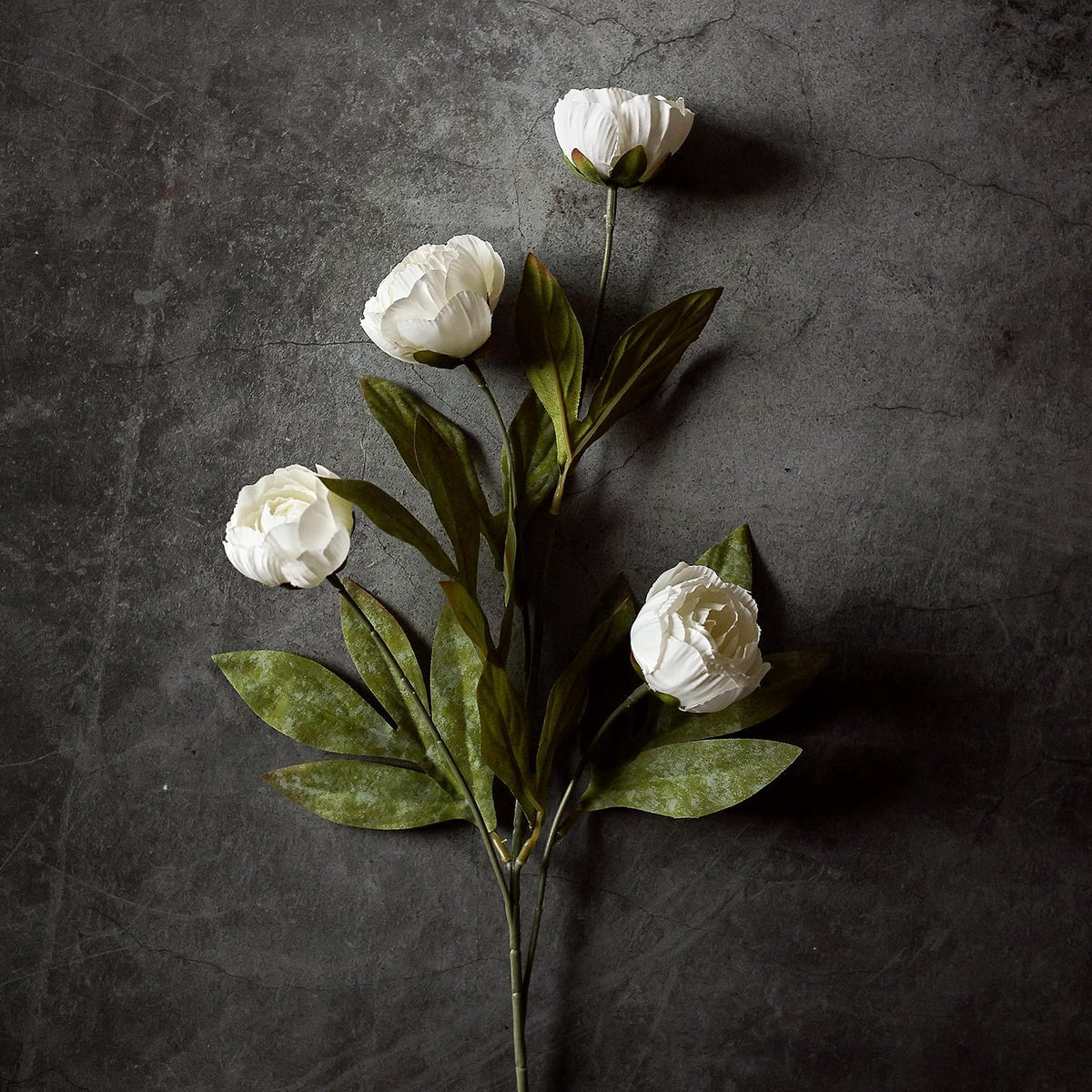 Vierena cream silk peony close-up highlights realistic petals and texture.