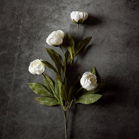 Vierena cream silk peony close-up highlights realistic petals and texture.