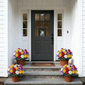 VIERENA mixed-color dahlias brighten front porch