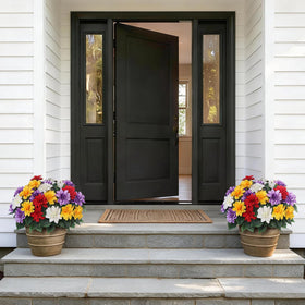 VIERENA maintenance-free dahlias require no watering