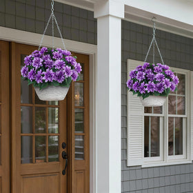 VIERENA outdoor-dahlia arrangement for balcony display with year-round color.