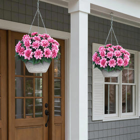 VIERENA outdoor dahlias elevate porch decor with maintenance-free charm.