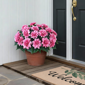 VIERENA dahlia bundles outdoor withstand sun and rain for year-round display.