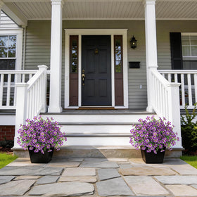 VIERENA easy-care topiary that requires no watering or pruning.