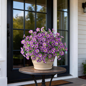 VIERENA eucalyptus greenery topiary enhances outdoor spaces with lush texture.