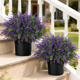 VIERENA two-set eucalyptus and lavender topiary trees at the front door for curb appeal