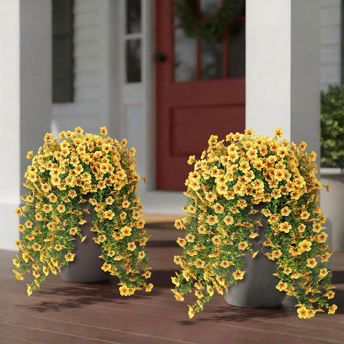 VIERENA hanging-basket-ready morning glory with adjustable stems