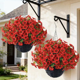 VIERENA morning glory basket extended for lush outdoor display