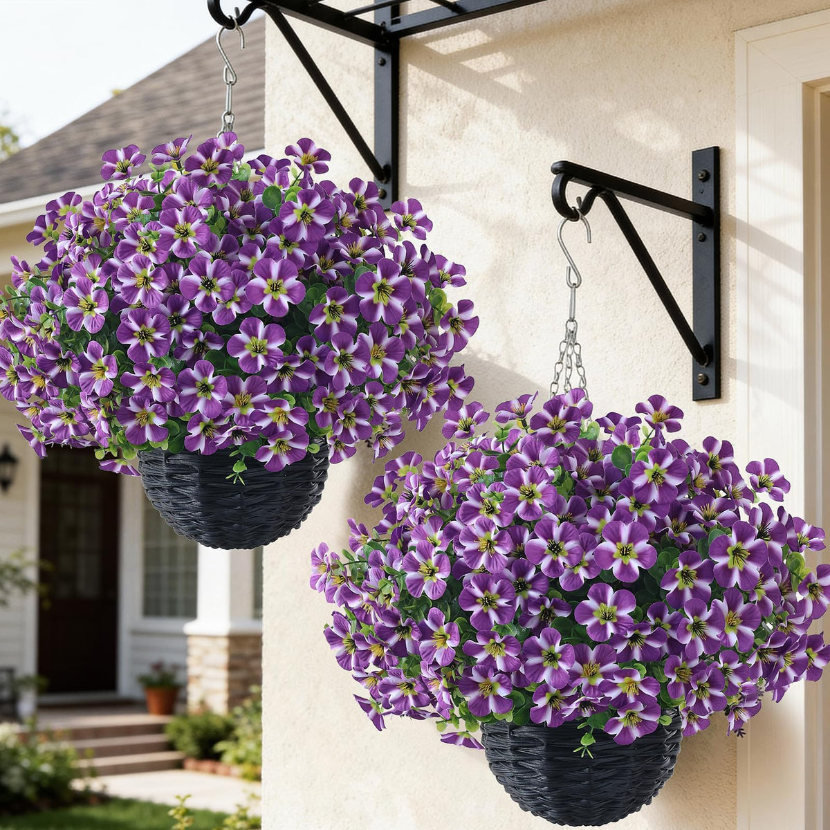 VIERENA morning-glory basket purple setup; vibrant porch decor with low maintenance.