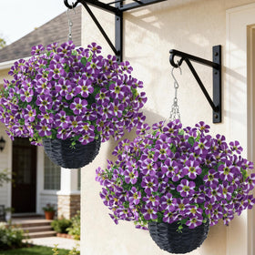VIERENA morning-glory basket purple setup; vibrant porch decor with low maintenance.