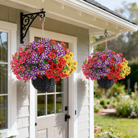 VIERENA morning glory bloom close‑up shows color depth and texture