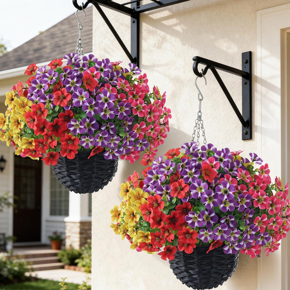 VIERENA morning glory hanging basket with vibrant blooms for porch decoration and curb appeal