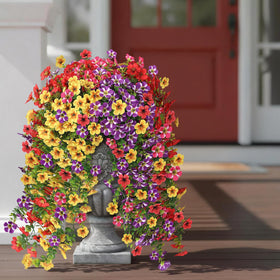Vierena Morning Glory purple bundle hanging creates romantic porch ambiance.