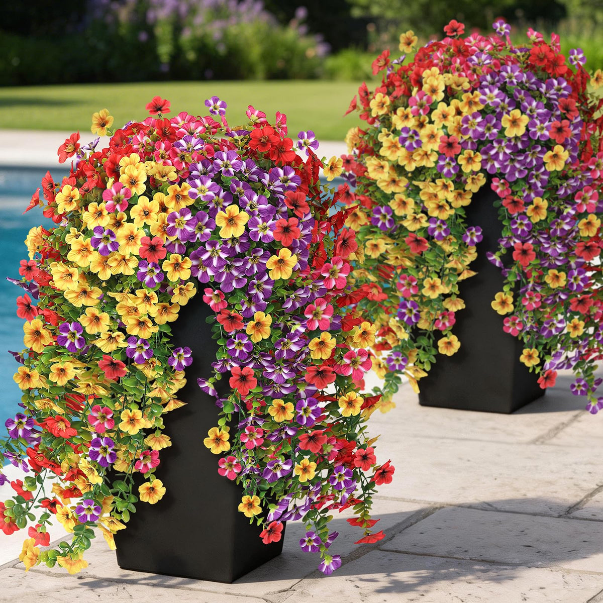 Vierena Morning Glory yellow bundle hanging, adds bright curb appeal to outdoor spaces.