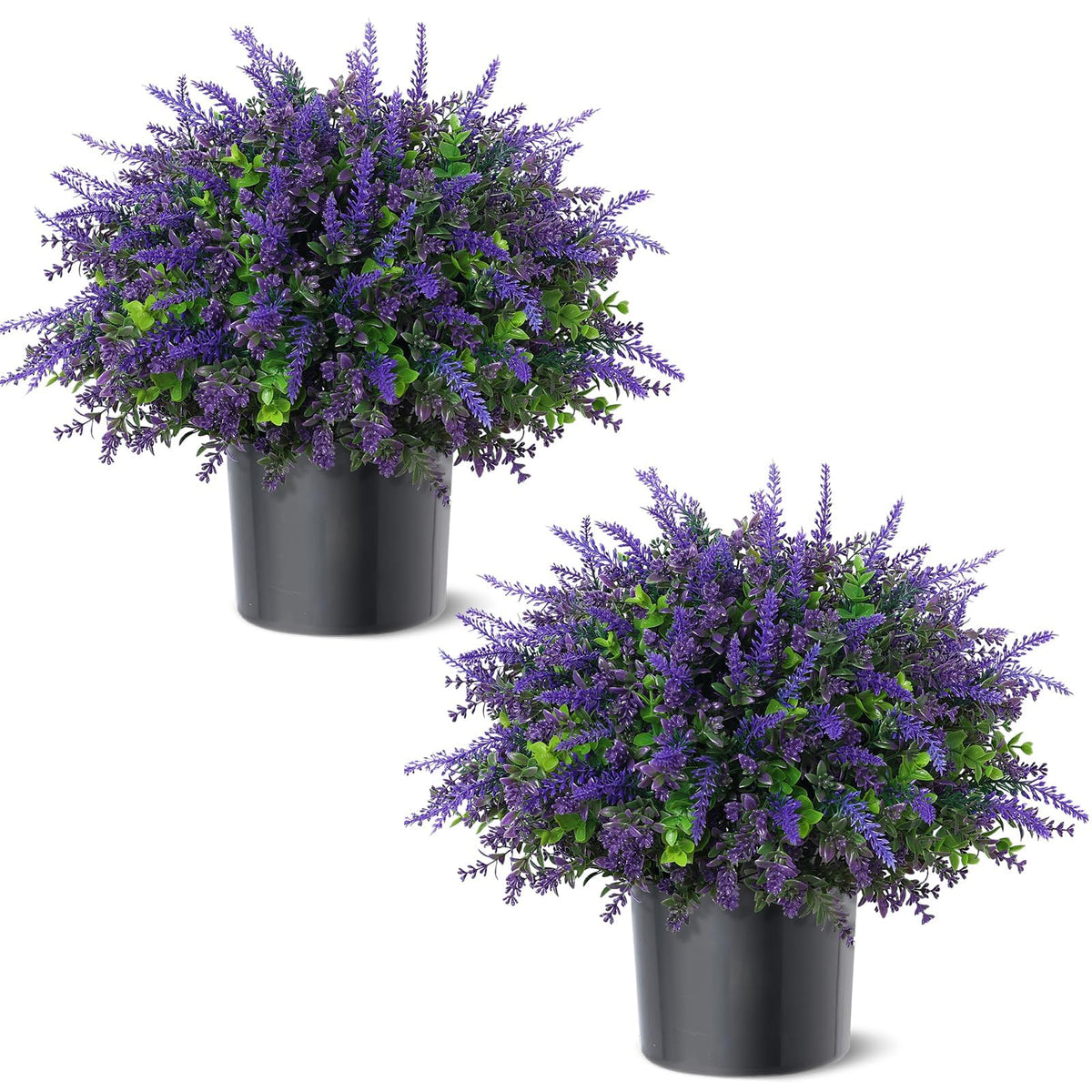 VIERENA versatile topiary for porch, balcony, and indoor spaces