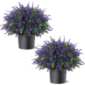 VIERENA versatile topiary for porch, balcony, and indoor spaces
