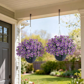 VIERENA no-maintenance year-round green; evergreen accent for patio or porch.