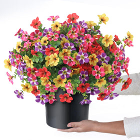 VIERENA UV-resistant morning glory bush for garden or patio