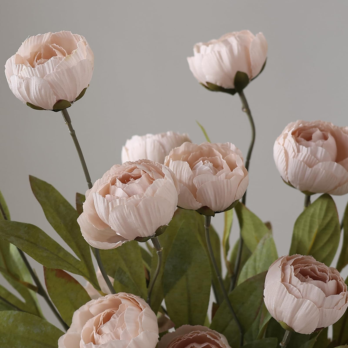 VIERENA full-looking bloom cluster of 48 petals in a centerpiece