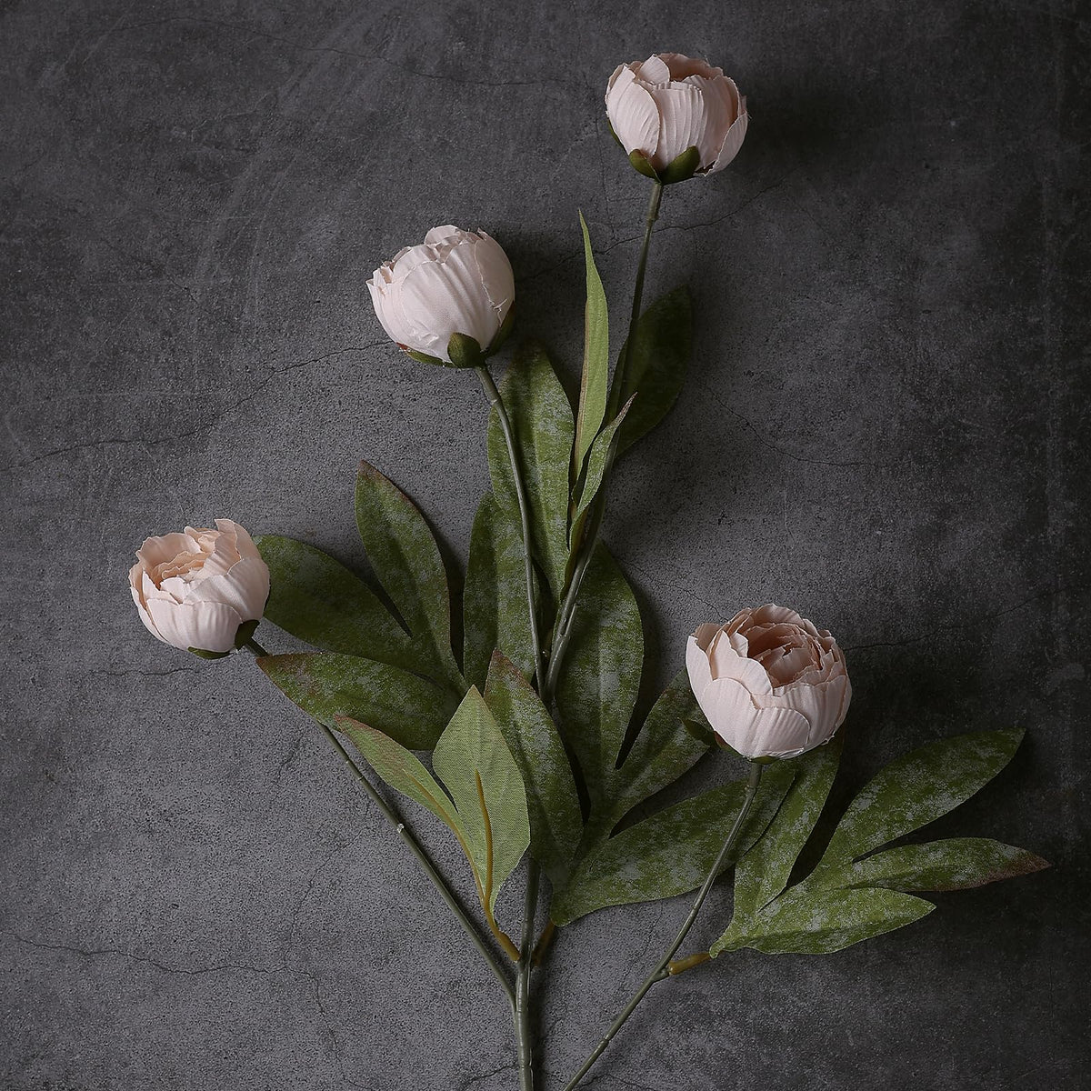 VIERENA beige silk peony closeup highlights soft petals and subtle sheen