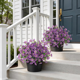 VIERENA purple morning glory topiary, 17 inches tall, ideal for porches and gardens.