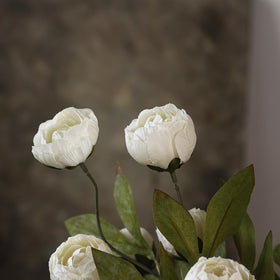 Vierena branches are reusable for future events and storage.