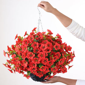 VIERENA two-set package ready-to-use hanging baskets
