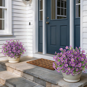 VIERENA weatherproof topiary with vivid blooms for patios and entrances.