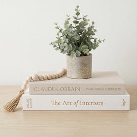 Vine Creations decorative books large box on a shelf adds elegant storage.