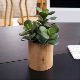 VINSUNI desk arrangement with artificial succulents, low maintenance