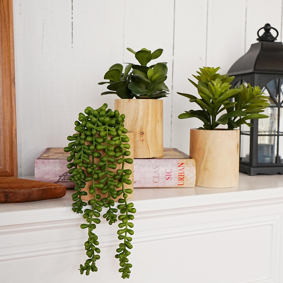 VINSUNI packaging box for succulents, protective shipping