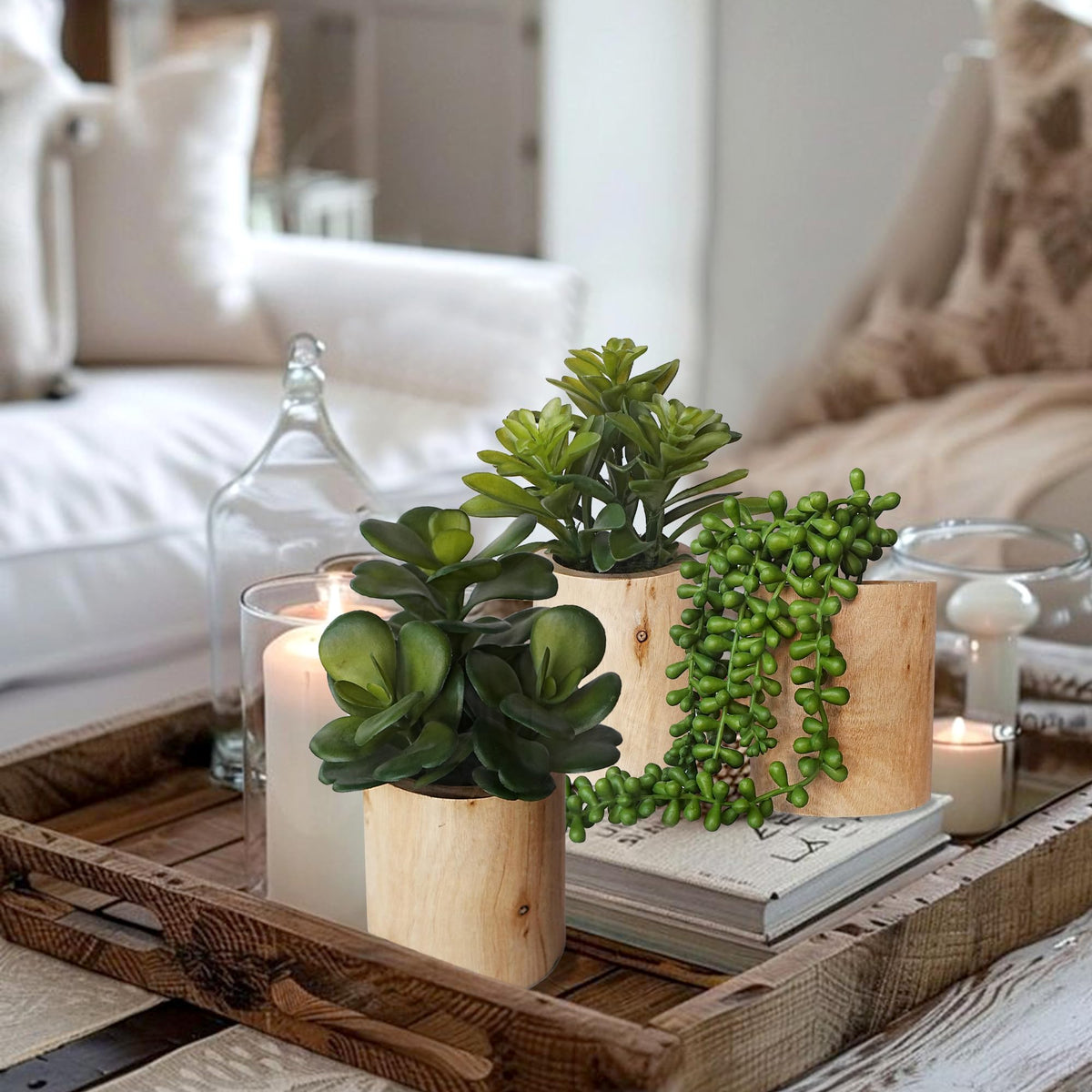 VINSUNI compact size succulent set, fits small spaces