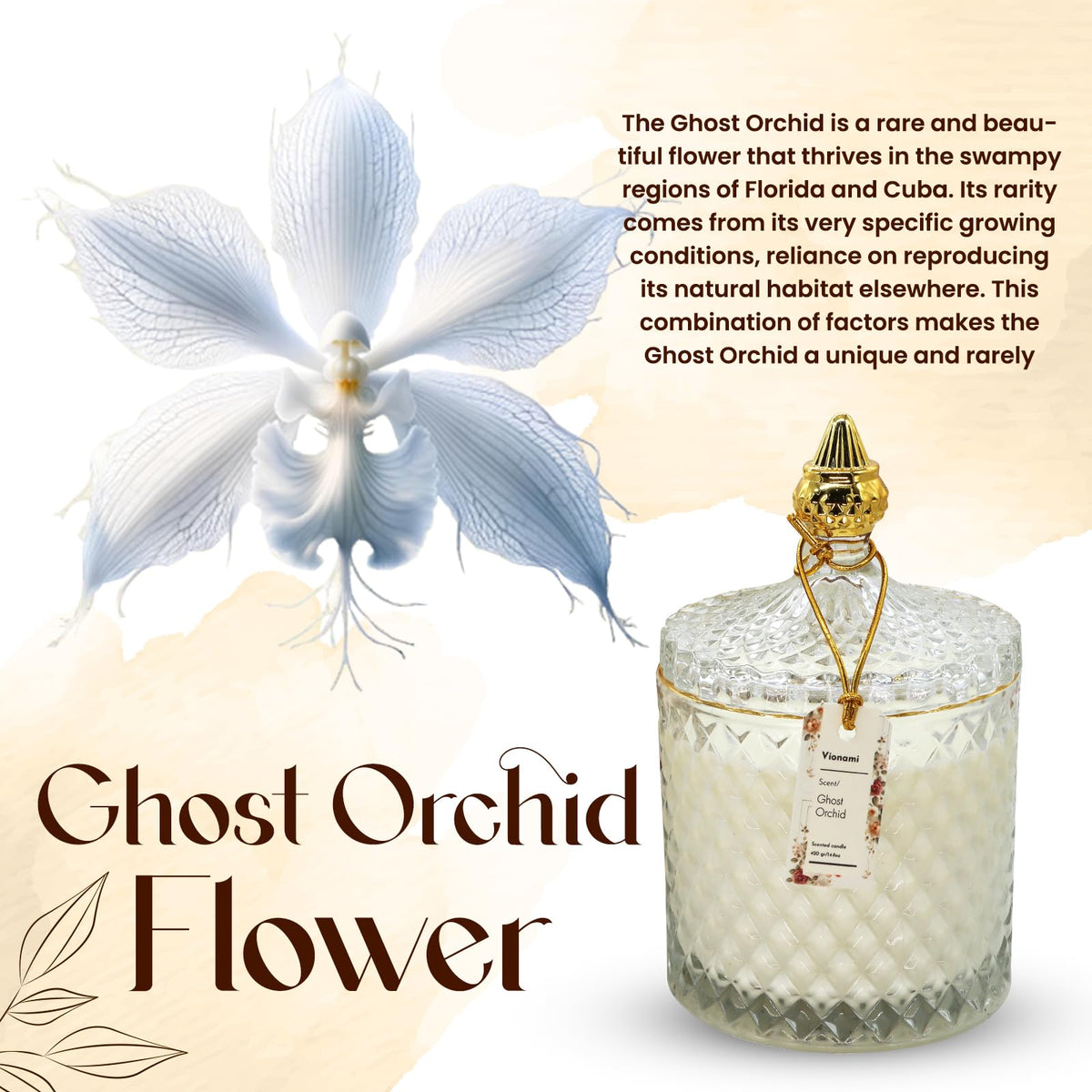 VIONAMI Ghost Orchid Candle close-up of three cotton wicks for a clean burn.