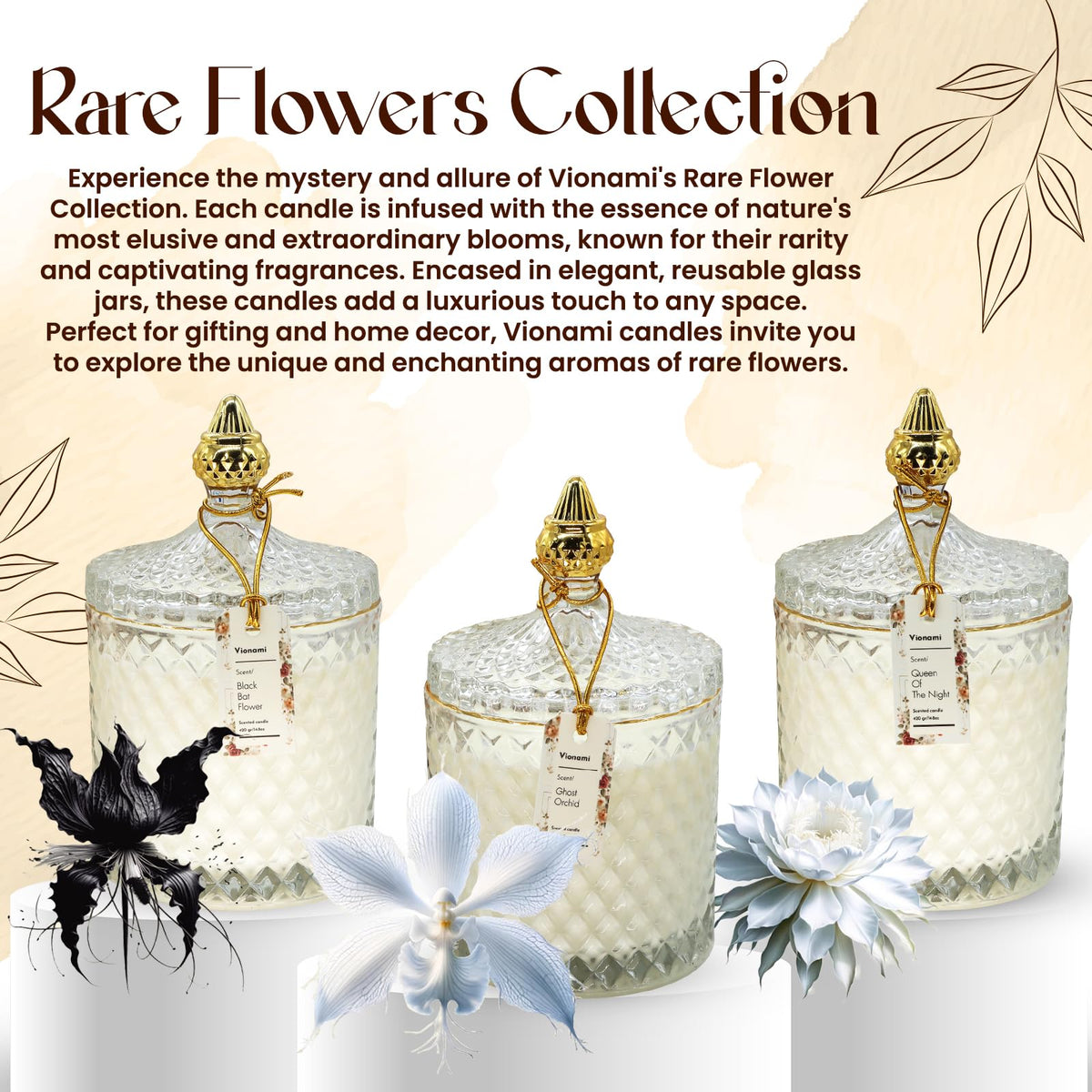 VIONAMI Ghost Orchid Gift packaging image showcasing immediate gifting appeal.