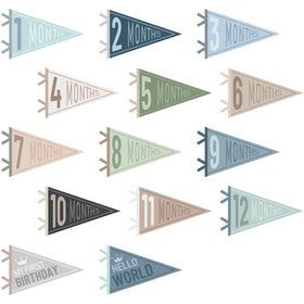 VitalCozy 14-piece monthly pennants for baby photos, perfect for monthly milestone shoots.