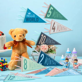 VitalCozy Hello World triangle bunting pennant marks first milestones with colorful charm.